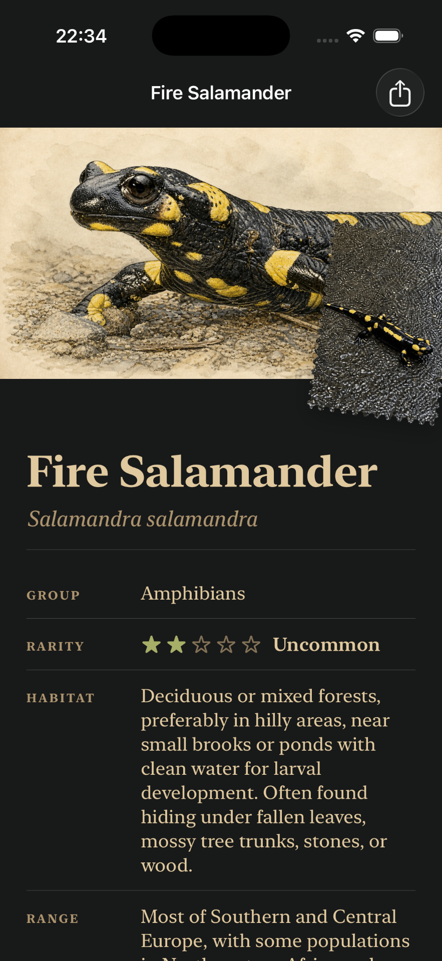 Fire Salamander species detail page in Anidex