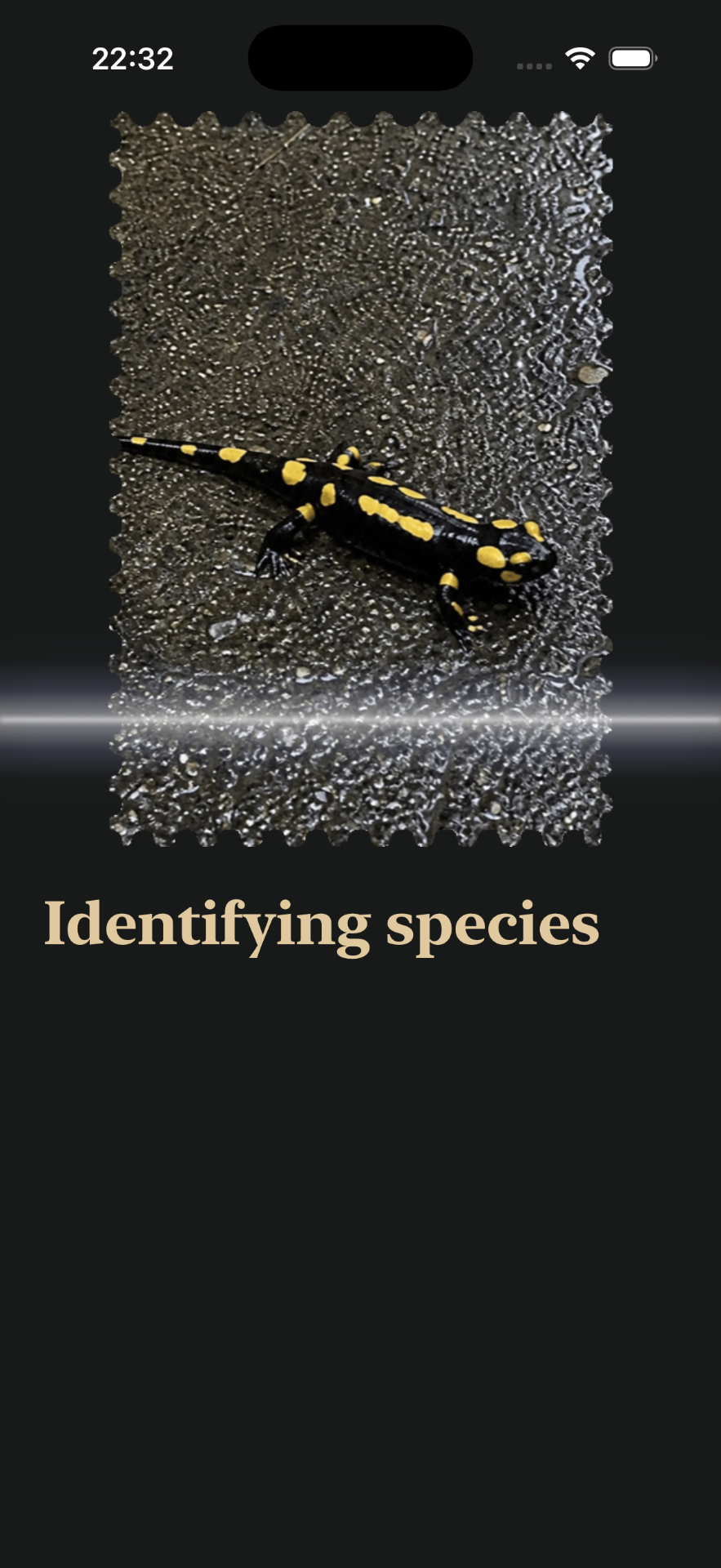 Anidex identifying species